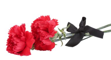 Carnations and black ribbon isolated on white clipart