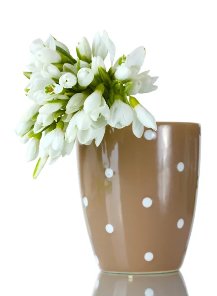 Schöner Strauß Schneeglöckchen in brauner Vase isoliert auf weiß — Stockfoto