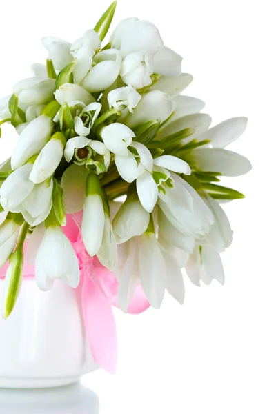 Beau bouquet de gouttes de neige en vase avec arc isolé sur blanc — Photo