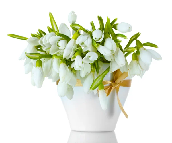 Bellissimo mazzo di bucaneve in vaso con fiocco isolato su bianco — Foto Stock