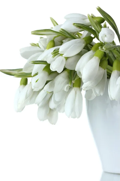 Beautiful bouquet of snowdrops in vase isolated on white — Stock Photo, Image