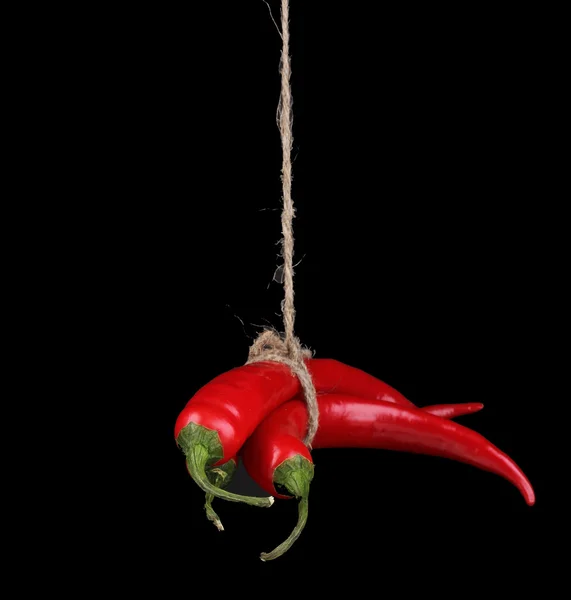 Red hot chili peppers vastgebonden met touw geïsoleerd op zwart — Stockfoto