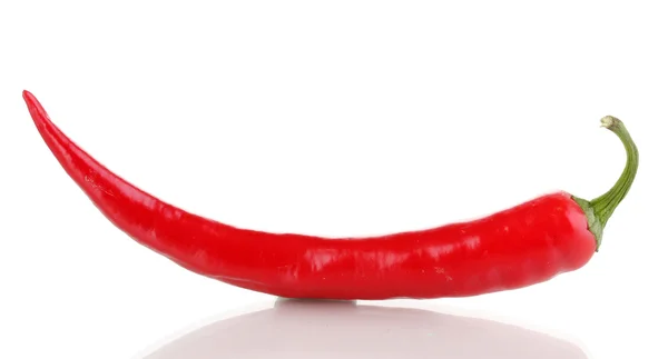 Peperoncino rosso caldo isolato su bianco — Foto Stock