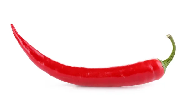 Rode hete chili peper geïsoleerd op wit — Stockfoto