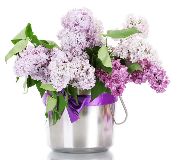 Krásné květy v plechový kbelík izolovaných na bílém — Stock fotografie