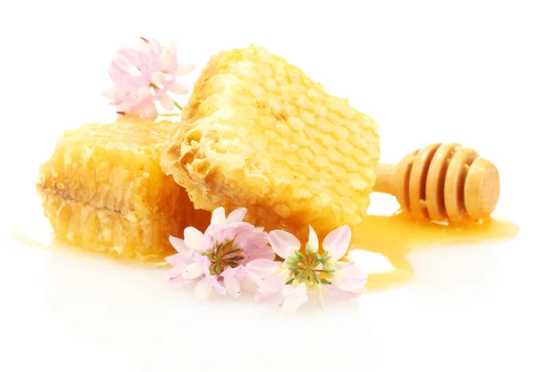 Petos de miel dorados, flores silvestres y rociadores de madera con miel aislada en blanco — Foto de Stock
