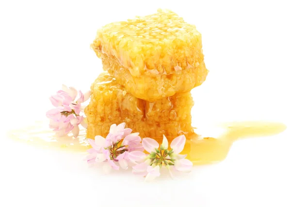 Gouden honingraten met honing en wilde bloemen geïsoleerd op wit — Stockfoto
