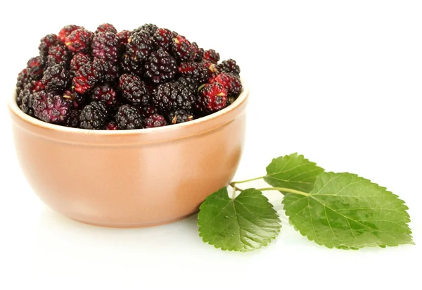 Ceramical bowl with ripe mulberries isolated on white close-up — Stock Photo, Image