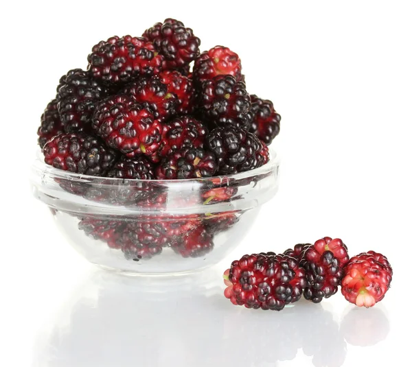익은 mulberries 흰색 클로즈업에 고립 된 투명 한 그릇 — 스톡 사진
