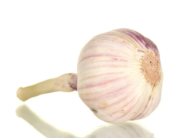stock image Young garlic isolated on white background