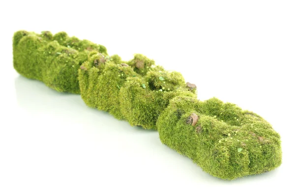 白で隔離される緑の苔 — ストック写真