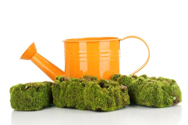 Green moss with watering can isolated on white — Stock Photo, Image
