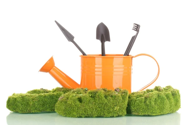 Green moss and watering can with gardening tools isolated on white — Stock Photo, Image