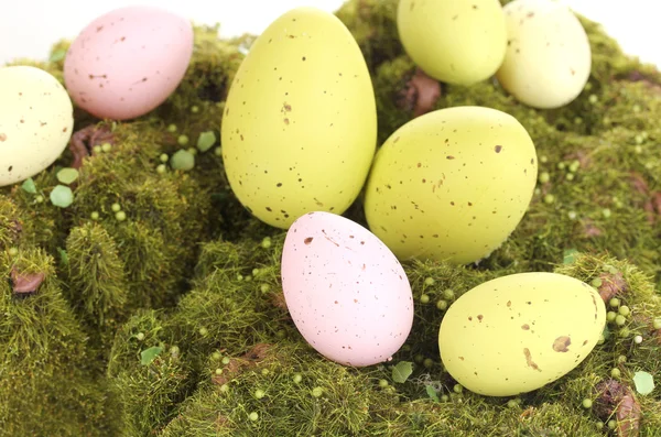 Groene mos met eieren geïsoleerd op wit — Stockfoto