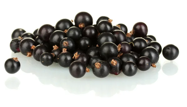 Fresh black currant isolated on white — Stock Photo, Image