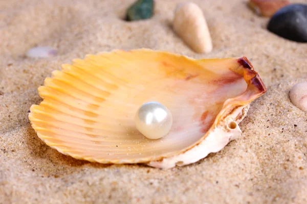 海贝壳与沙子上的明珠 — 图库照片