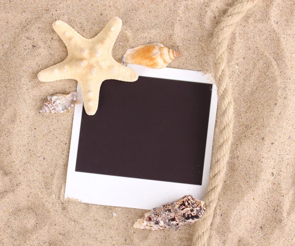 Foto med snäckor och sjöstjärnor på sand — Stockfoto