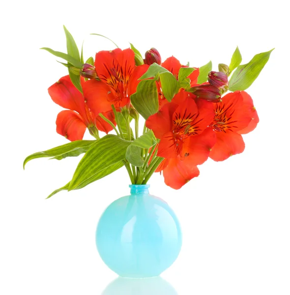Alstroemeria in der Vase isoliert auf weiß — Stockfoto