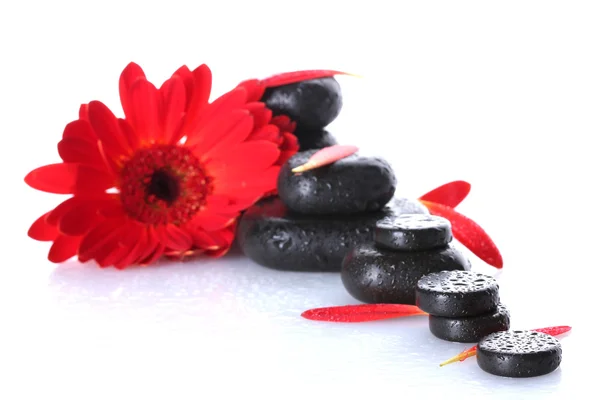 Piedras Spa con gotas, flor roja y pétalos aislados en blanco — Stockfoto