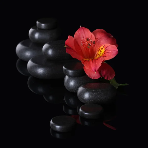 Piedras de spa y flor roja sobre fondo negro — Foto de Stock