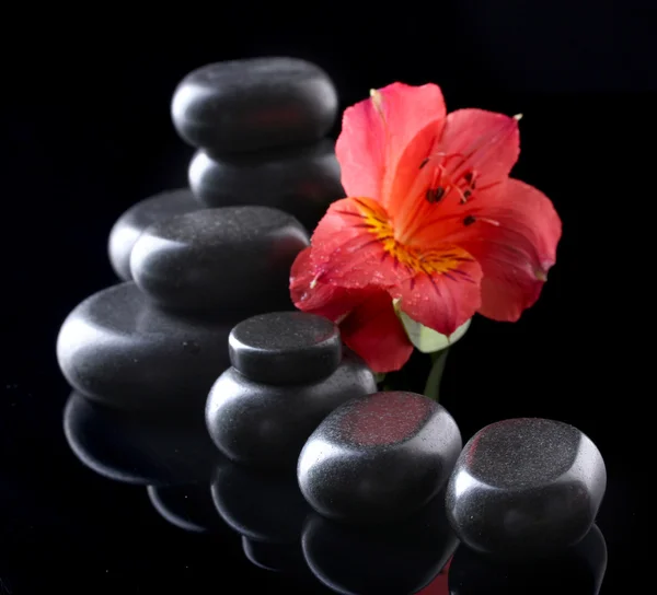 Spa taşlar ve siyah arka plan üzerinde kırmızı çiçek — Stok fotoğraf