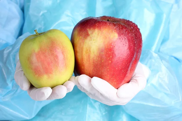 Вчений тримає генетично модифіковане яблуко — стокове фото