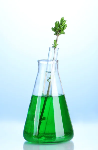 Vidro de laboratório com líquido colorido e planta geneticamente modificada sobre fundo azul — Fotografia de Stock