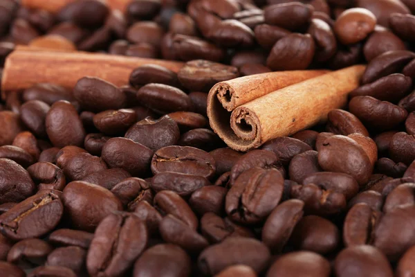 Gros plan sur les grains de café et la cannelle — Photo