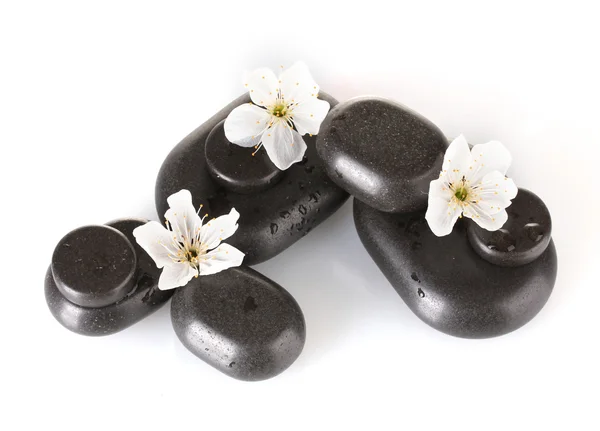 Black spa stones with flowers and petals isolated on white close-up — Stock Photo, Image