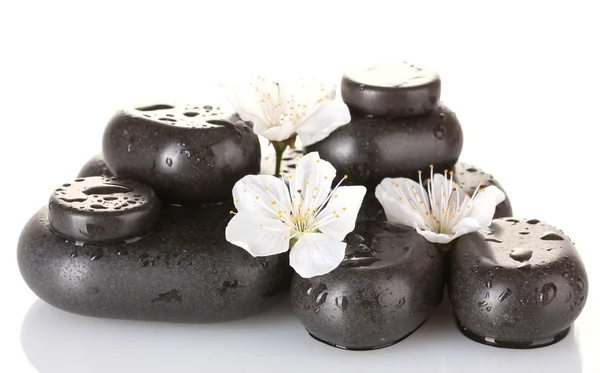 Çiçek ve yaprakları beyaz yakın çekim izole siyah spa taşlarla — Stok fotoğraf