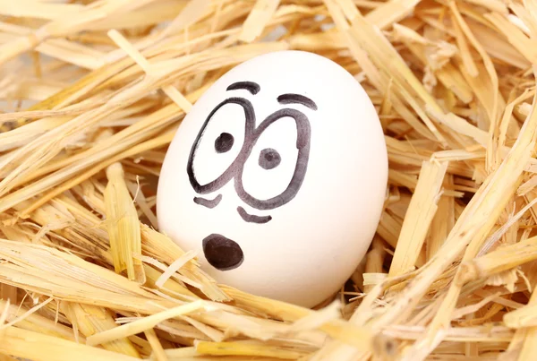 Huevo blanco con cara divertida en paja —  Fotos de Stock