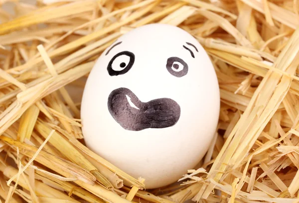 わらで変な顔を持つ白い卵 — ストック写真