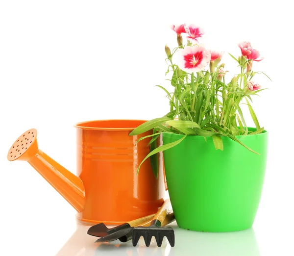 Gießkanne, Werkzeug und Pflanze im Blumentopf isoliert auf weiß — Stockfoto