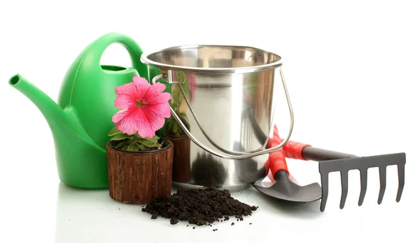Watering can, bucket, tools and plants in flowerpot isolated on white — Stock Photo, Image