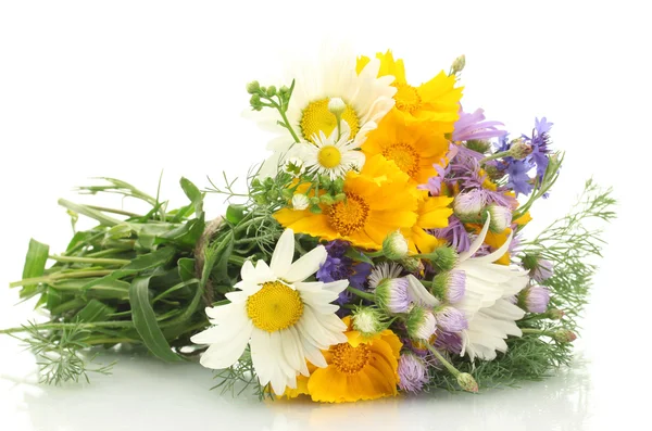 Buchet frumos de flori sălbatice strălucitoare, izolat pe alb — Fotografie, imagine de stoc