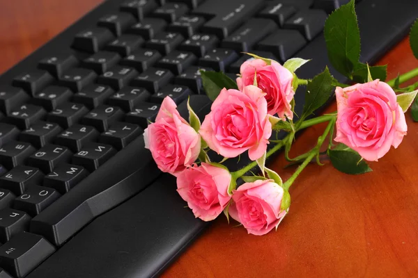 Pink roses on keyboard close-up — Zdjęcie stockowe