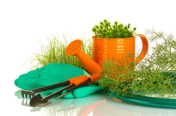 Garden tools on white background close-up — Stock Photo, Image