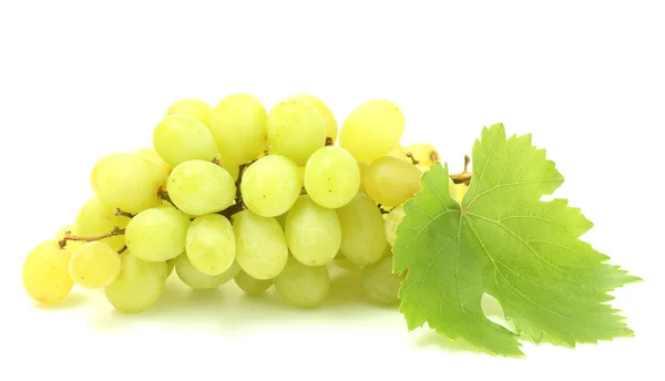 Uvas dulces maduras aisladas en blanco — Foto de Stock