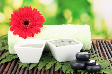 spa uygulamaları üzerinde parlak yeşil renkli yakın çekim için kozmetik kil