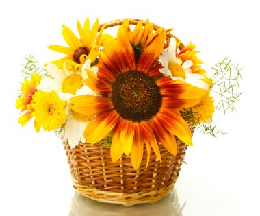 Beautiful bouquet of bright wildflowers in basket, isolated on white clipart