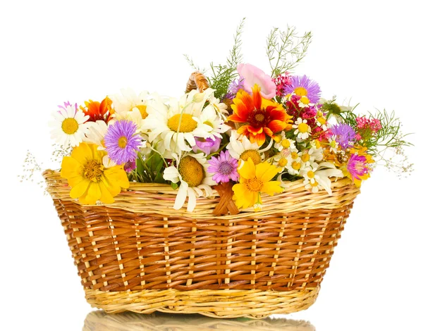 Красивый букет ярких полевых цветов в корзине, изолированные на белом — стоковое фото