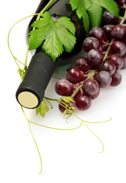 Butelka wina i dojrzałych winogron na białym tle — Zdjęcie stockowe
