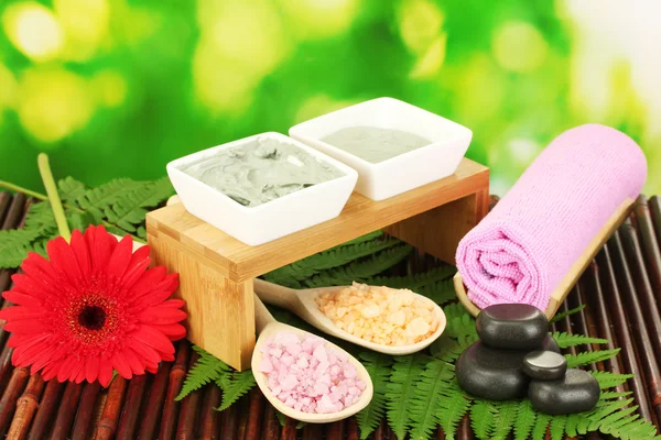 Arcilla cosmética para tratamientos de spa aislados sobre fondo verde colorido —  Fotos de Stock