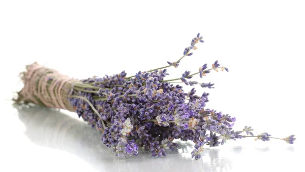Lavendelblüten isoliert auf weiß — Stockfoto