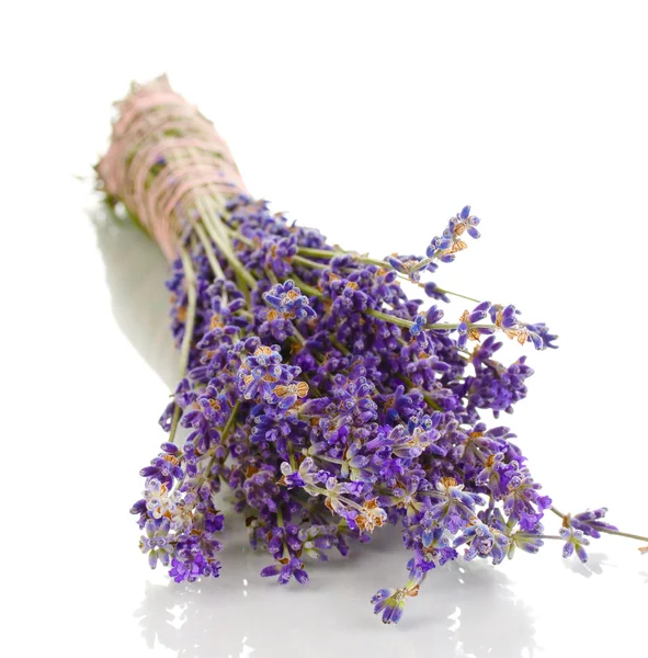 Lavendel blommor isolerade på vit — Stockfoto