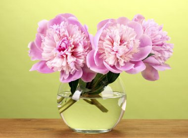 Three pink peonies in vase on wooden table on green background clipart