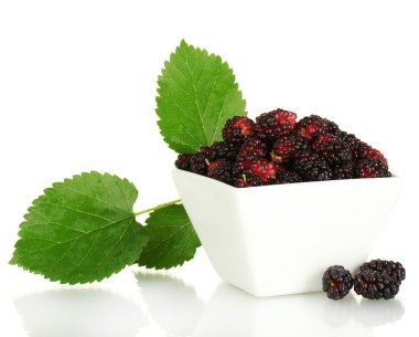 White bowl with ripe mulberries isolated on white clipart