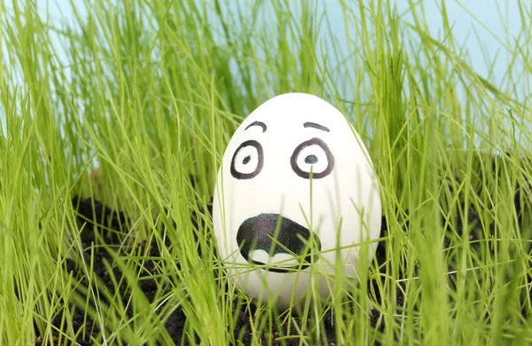 stock image White egg with funny face in green grass