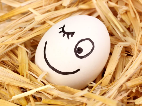 Біле яйце зі смішним обличчям у соломі — стокове фото