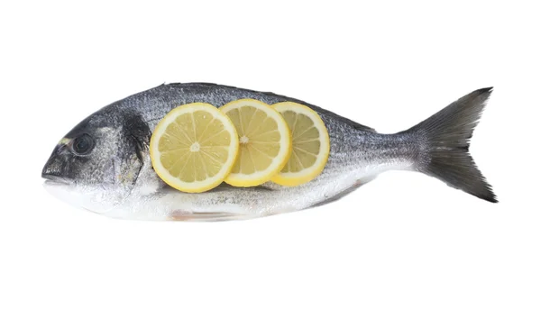 Świeże ryby z cytryny na białym tle — Zdjęcie stockowe